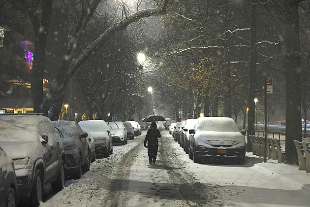 OBRAZEM: New York se dočkal největší sněhové nadílky za poslední roky