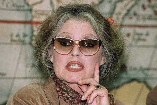 Frej: Bardotová byla idolem za našich mladých let. Lítost vyslovil i Babiš