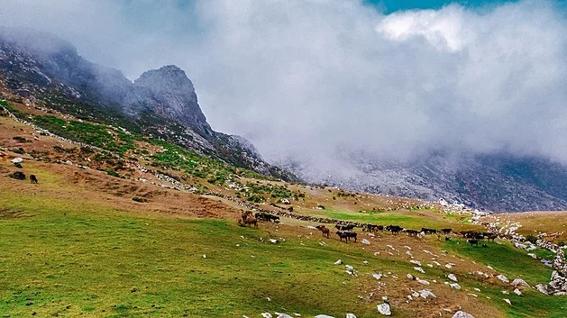Češi uvázli se stovkami dalších turistů na Sokotře. Zrušily se tam všechny lety