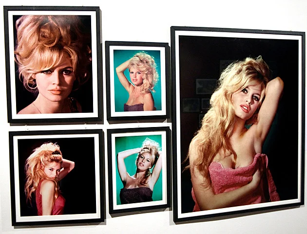 Manžel Brigitte Bardotové odhalil příčinu jejího úmrtí a popsal poslední chvíle