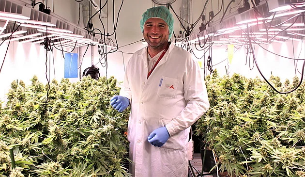 Brněnské ANO má po vyloučení rebelů nového šéfa, experta na léčebné konopí