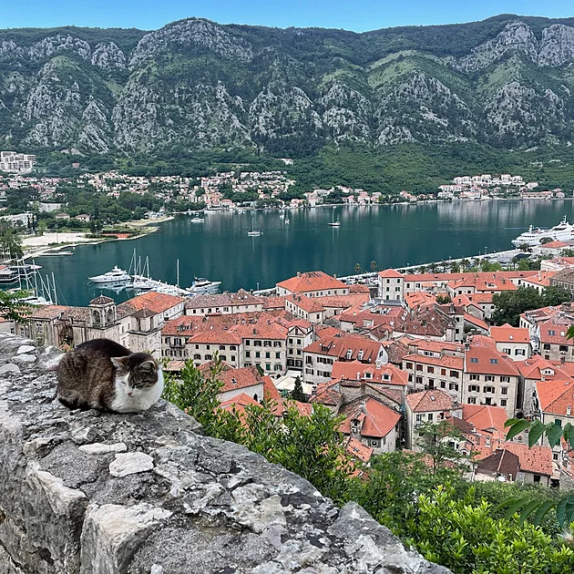 Domov whisky a „nové Chorvatsko“. Tipy pro rok 2026, kde o turisty stále stojí