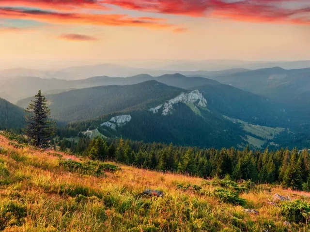 EU a Mercosur se dohodli po 25 letech. Sníží se cla a otevře cesta zemědělcům do Evropy