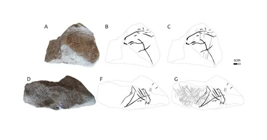 Vědci odhalili v jeskyni v Moravském krasu rytinu starou zhruba 15.000 let