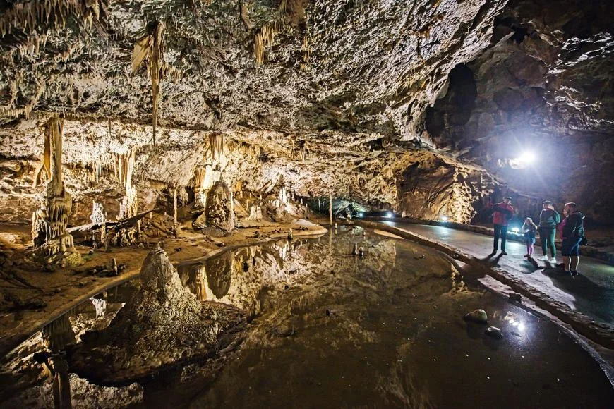 Rytina koně z konce poslední doby ledové. V Moravském krasu došlo k unikátnímu objevu