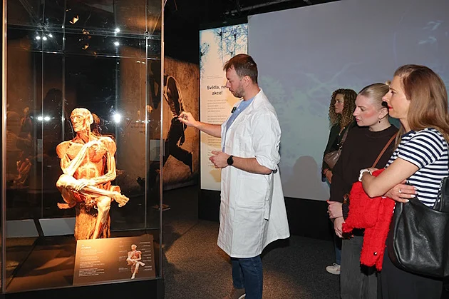 Unikátní výstava Body Worlds bude v OC Westfield Chodov pouze do 12. dubna 2026. Komentovanou prohlídku si tentokrát nenechala ujít Andrea Sestini Hlaváčková, Hanka Kynychová nebo Ivana Jirešová.