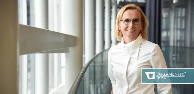 Konečná: Pro tuto šílenou větu hlasovali čeští europoslanci