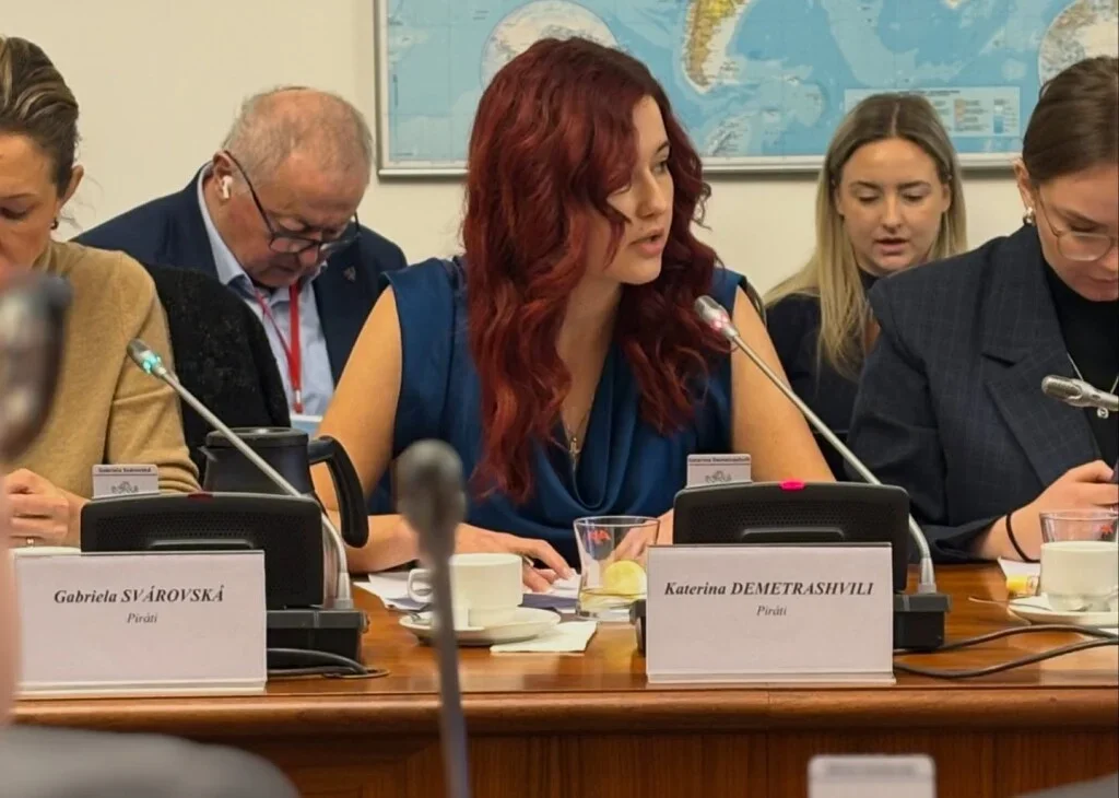 Rajchlova „facka od táty“ i urážky vzhledu. Političky častěji terčem útoků