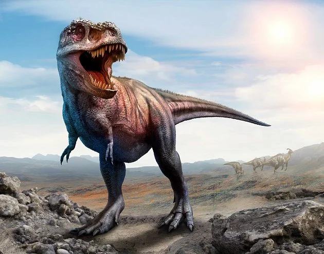 Tyrannosaurus rex dorůstal plné velikosti 40 let, zjistila nová studie