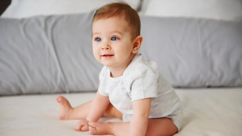 Dnes slaví svátek Vladislav: Charismatický vládce srdcí i situací