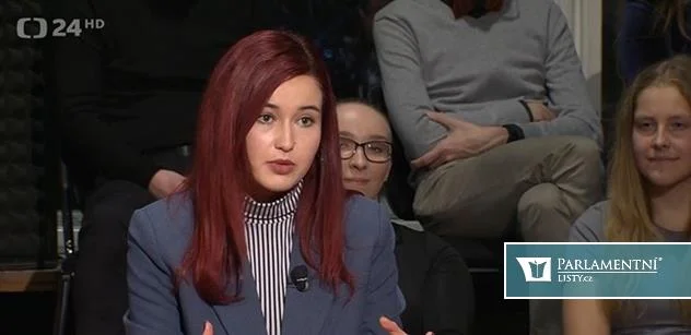 Demetrashvili narazila s Ruskem. Podvýbor sněmovna odmítla