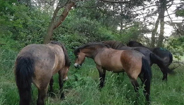 Zemřel uznávaný ochránce Podyjí. Do některých míst lidé vůbec nepatří, razil