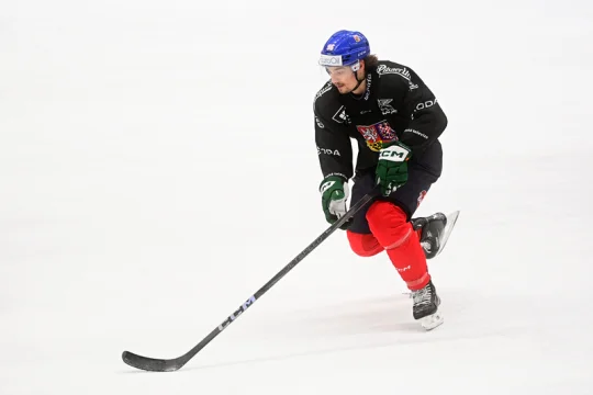 Dal jsem tomu maximální čas, řekl Tomášek k návratu z NHL do Evropy