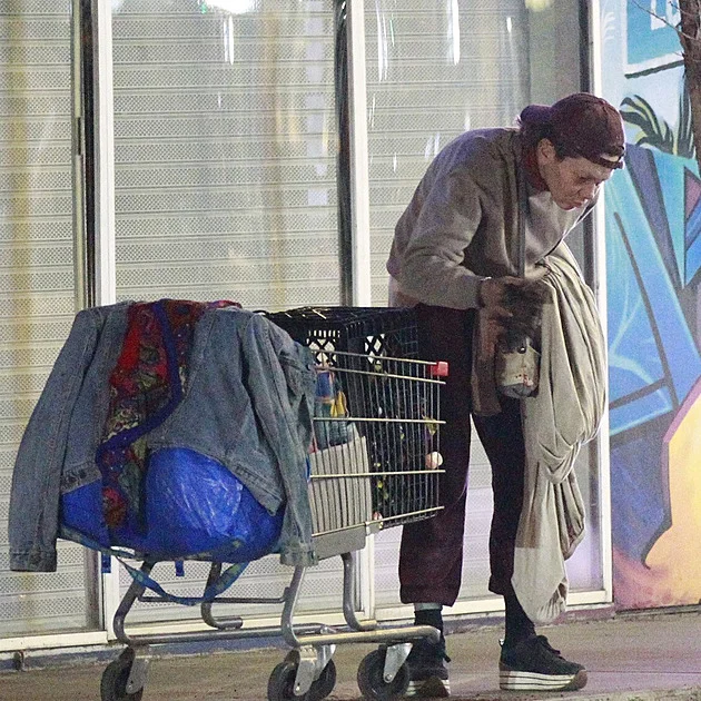 Otřesný pohled na bývalou sexbombu: Loni Willison prohrabává popelnice v Los Angeles