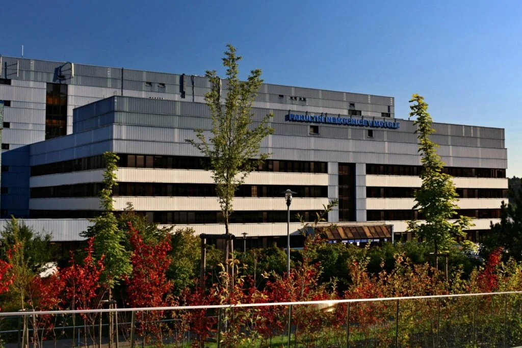 Korupční kauza Motola bobtná: Policie obvinila další firmy, stíhá už 19 lidí