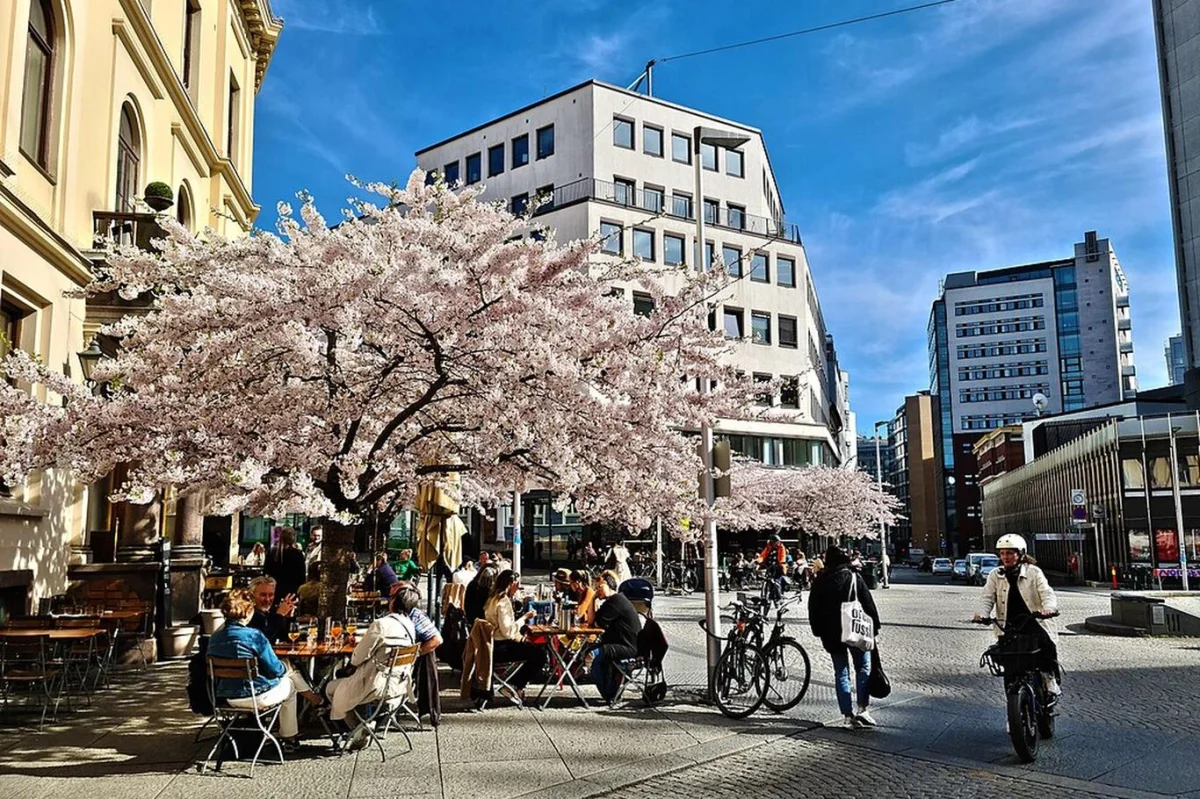 Čechy láká Norsko vysokými výdělky a bezpečím. Když tam ale narazí na realitu, rychle se vracejí domů