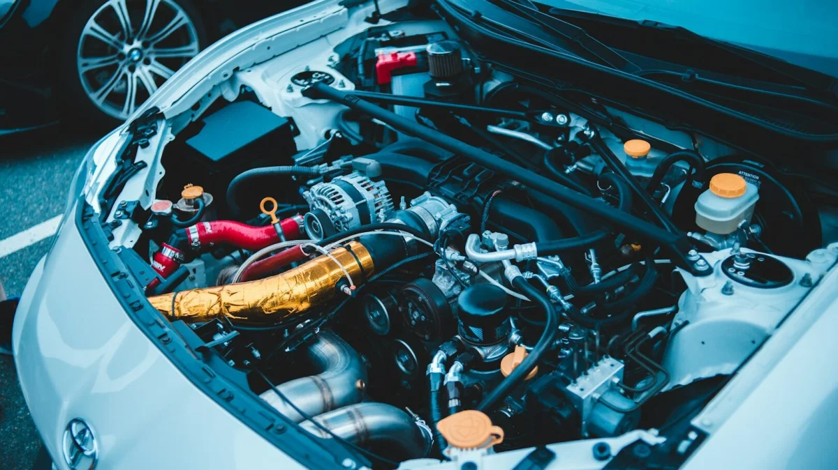 Jednoduchý trik, jak udržet kuny dál od aut: Zabraňte nákladnému poškození motoru