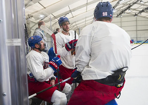 Trio stejně dobrých střelců: Pastrňák, já a Nečas. Budou se od nás čekat věci, ví Hertl