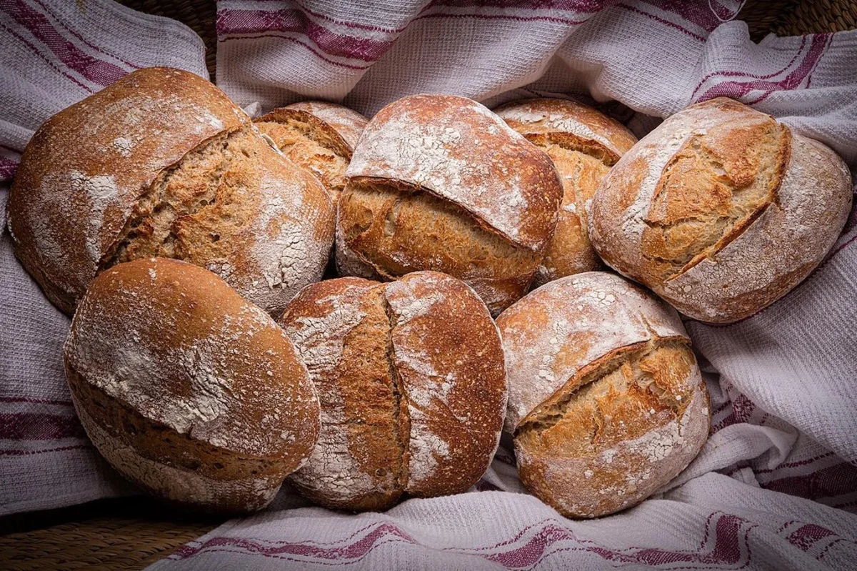 Vědci jsou u vytržení. Nalezli 8 000 let starý bochník chleba, který zpochybňuje vše, co jsme si mysleli