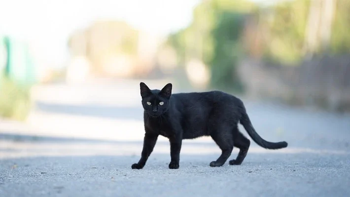 Tři pátky třináctého v jednom roce. Tři šance zkusit štěstí. Ta první přichází právě teď!