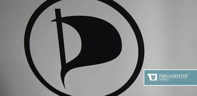 Patková (Piráti): Navrhujeme vznik specializovaného policejního útvaru