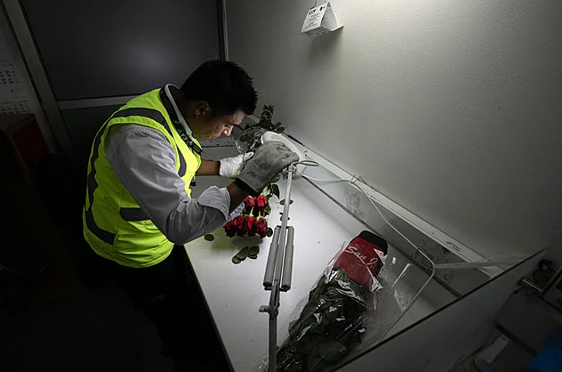 Ve jménu Valentýna a dobrých vztahů. Bogota poslala Kongresu USA 18 tisíc růží