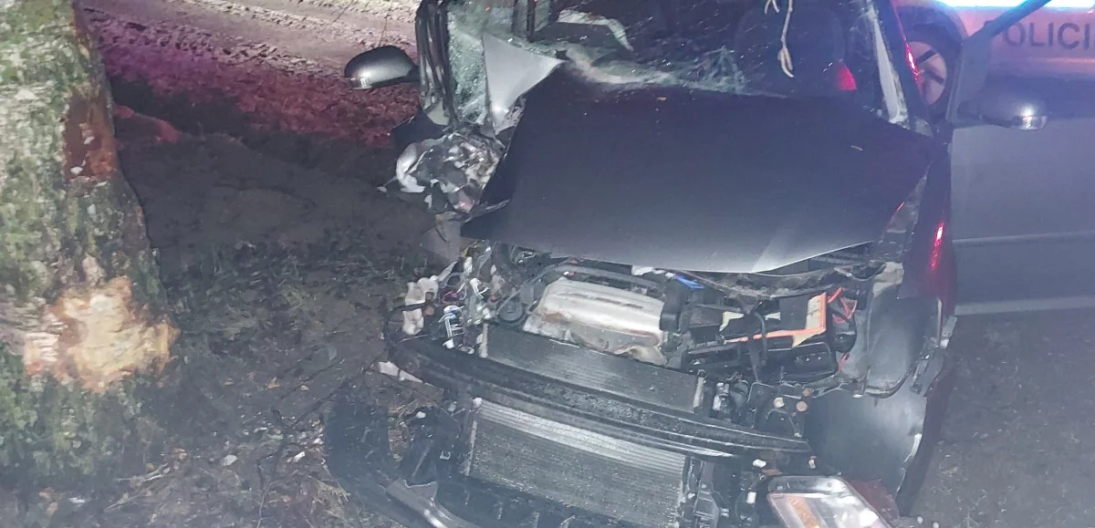 Podnapilý řidič volkswagenu naboural na Pelhřimovsku do stromu