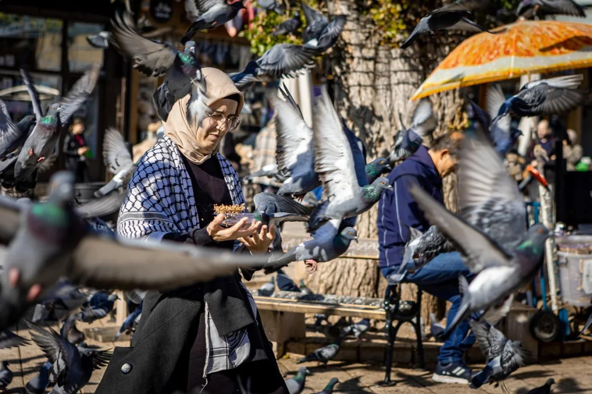Lidské safari v Evropě a 80 tisíc eur za střelbu na civilisty: Boháči měli zabíjet muže, ženy i děti