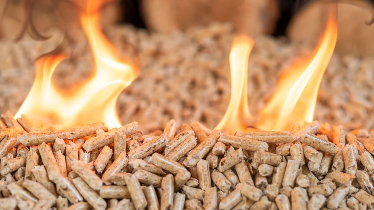 V Polsku až 3 000 zlotých za tunu: Poláci proto jezdí pro pelety do Německa