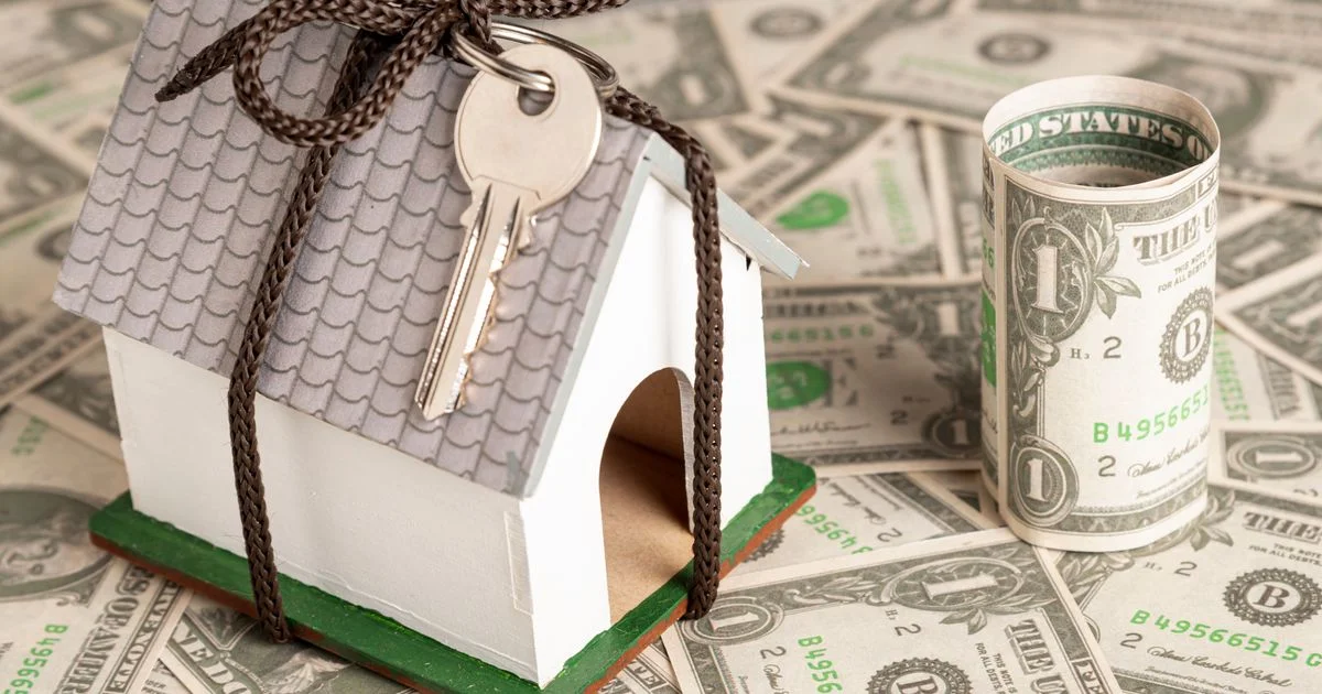 K apelu na zachování NZÚ se přidal ombudsman. Řada lidí by nyní mohla přijít o peníze