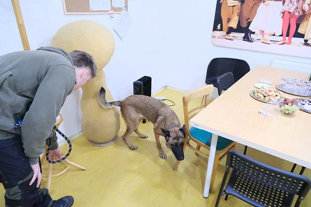 Prezident Pavel v Galaxii. Dvě feny hledaly výbušniny mezi židlemi i v zákoutích