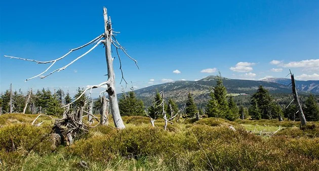 Poteče v KRNAPu „zelená krev“? Škrty se dotknou turistiky, v duchu ekologických radikálů