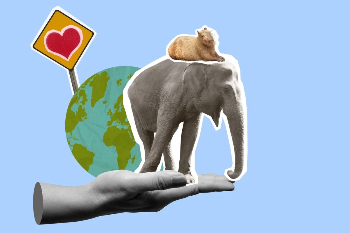 Přírodopisný kvíz: 10 zábavných otázek o zvířatech a přírodě, které vás překvapí. Většina lidí neuspěje