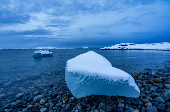 Trump oznámil, že posílá do Grónska americkou nemocniční loď
