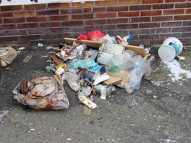 Ital naučil psa vynášet odpadky k silnici. Chtěl se vyhnout kamerám i pokutě