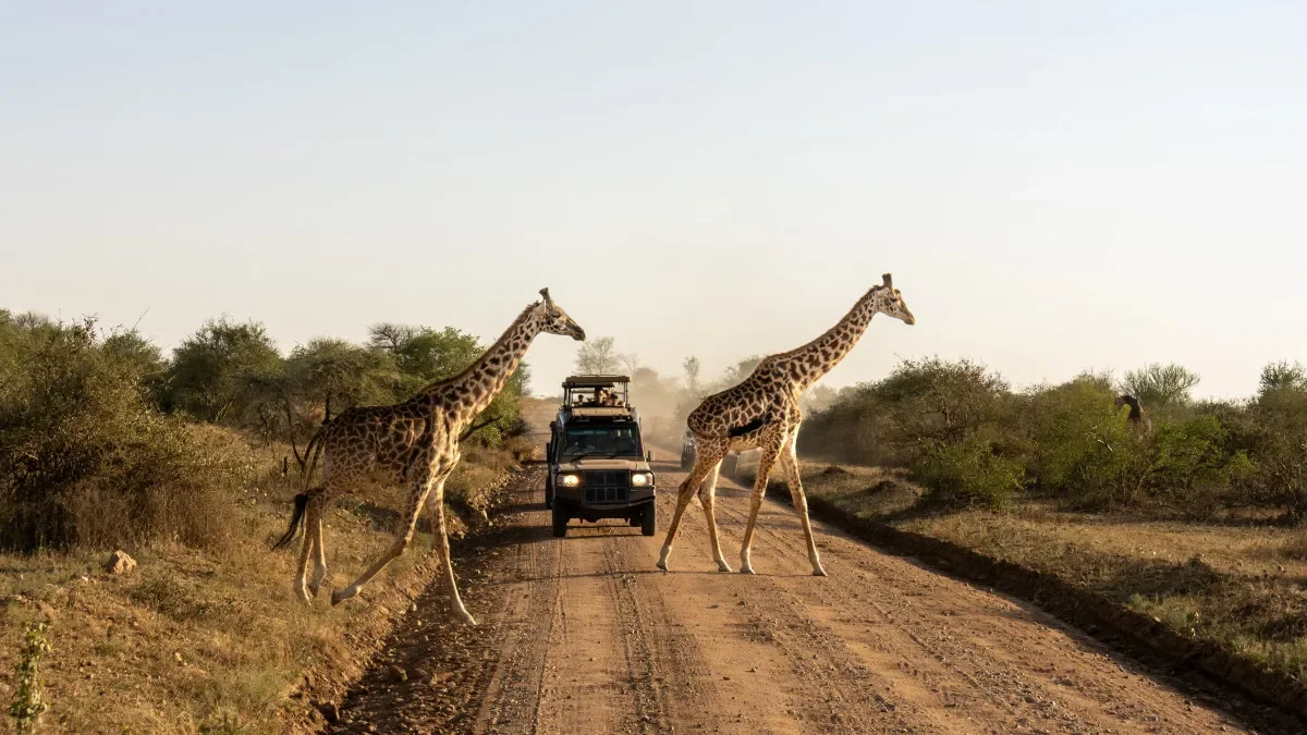 10 000 kilometrů ambicí: proč chce Káhira spojit Mys Dobré naděje se Středomořím