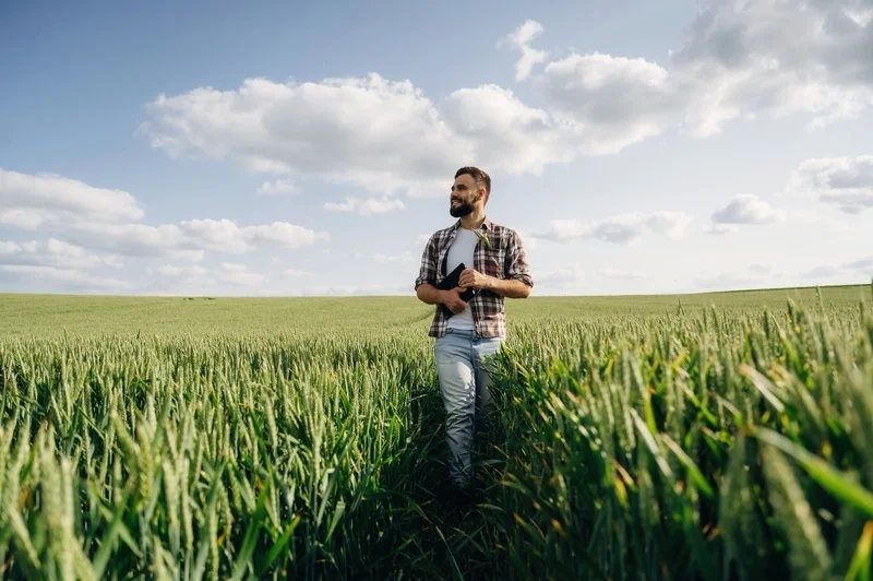 Čeští investoři objevují potenciál zemědělské půdy na Slovensku
