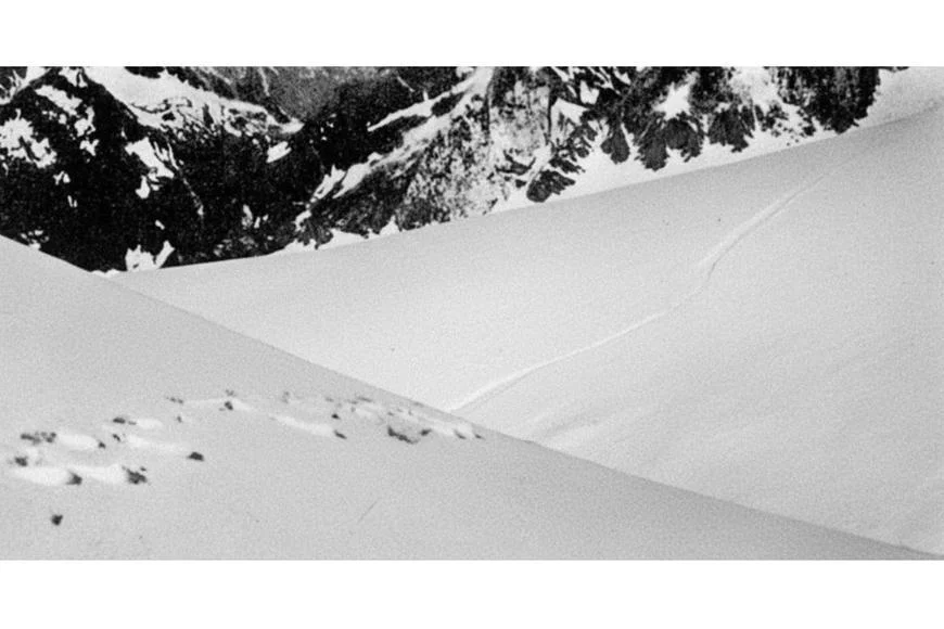 Konec mýtu o yettim. Genetička a známý horolezec odhalili jeden z největších omylů historie