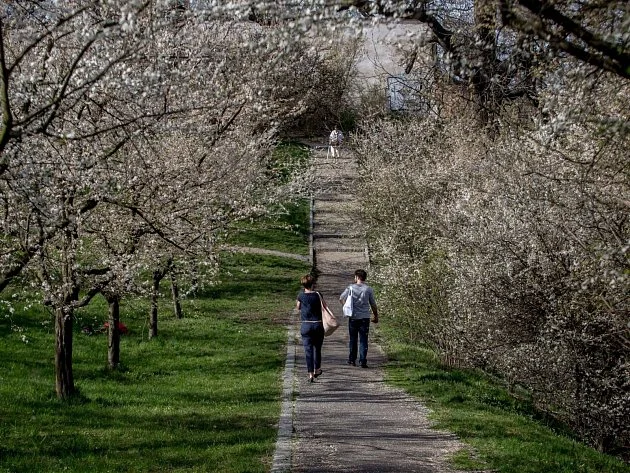MAPA: Jaro vtrhne do Česka. Teploty strmě vyletí, doprovodí je písek z Afriky