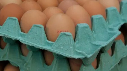 Ceny vajec dál porostou. Meziročně vyskočily o 21,2 %