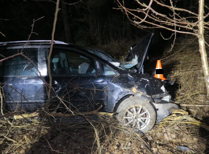 Tragická noc na jihočeských silnicích. O život přišli dva lidé - Krimi TydenikPolicie.cz článek na Media24.cz