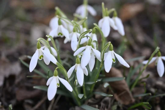 Začíná meteorologické jaro, potrvá do konce května - Počasí ČTK ceskenoviny.cz článek na Media24.cz