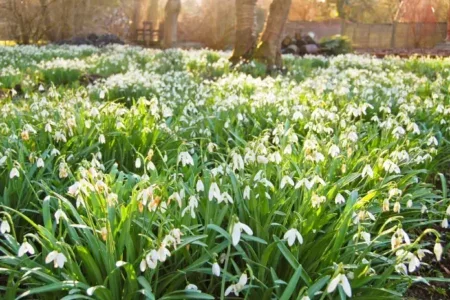 Jarní počasí se hlásí o slovo. Česko čeká slunečný týden s teplotami až 16 °C