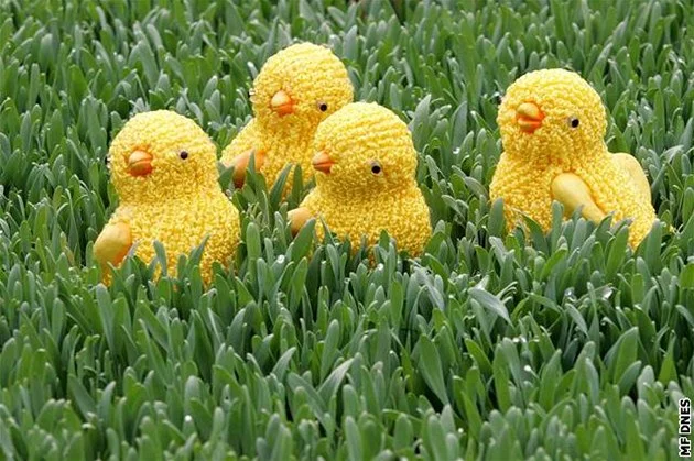 Jaro do bytu i na stůl: Jednoduché tipy pro husté velikonoční osení - Zprávy iDnes.cz článek na Media24.cz