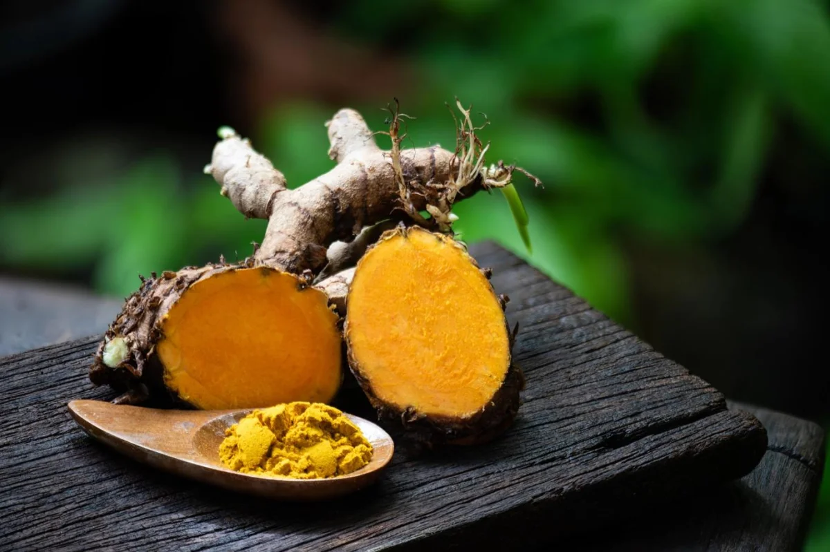 Kurkuma neboli indický šafrán. Je nadějí pro nemocné Parkinsonem i Alzheimerem. A skvěle obarví vejce