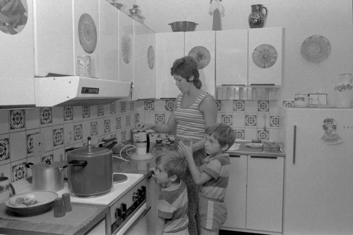 Tohle jsme za socialismu měli v kuchyni všichni. Dnes to mladí renovují a kombinují retro s modernou - Domácí PoznatSvet.cz článek na Media24.cz