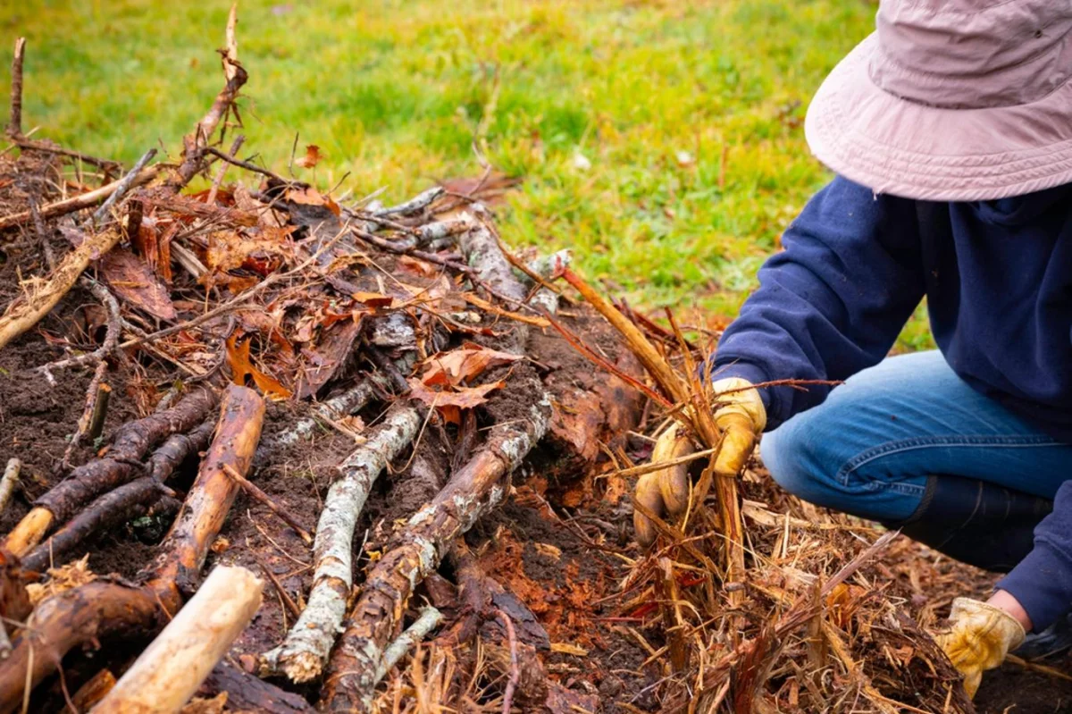 Větve z pokáceného stromu? Tato „hromada nepořádku“ vám zajistí nejlepší úrodu okurek v životě 