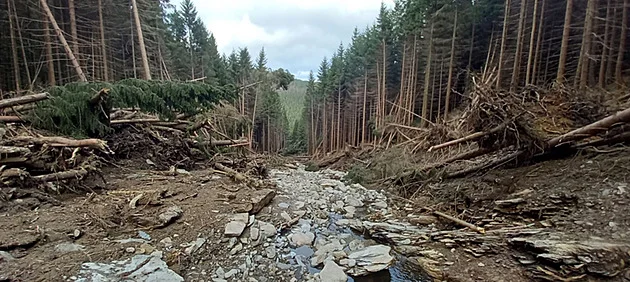 Extrémní déšť rozpohyboval horské svahy v Jeseníkách. Vědci radí prevenci