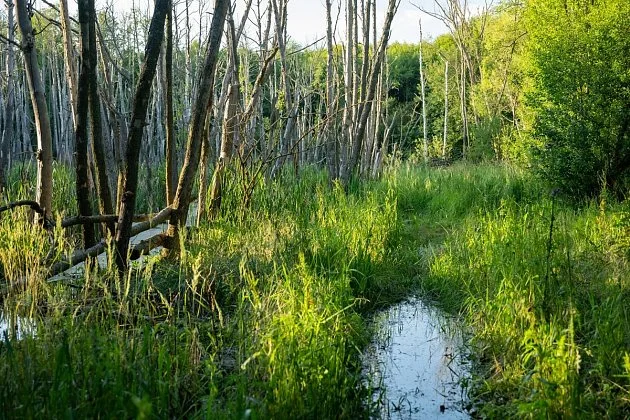 Evropské zoologické zahrady spustili ochranářskou kampaň Mokřady pro život