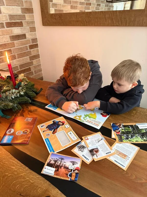 Světový den medvědů: Osm druhů v přírodě a jeden v srdcích dětí